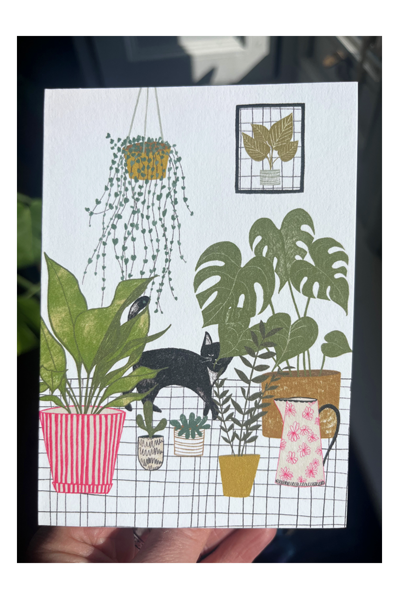 Houseplants