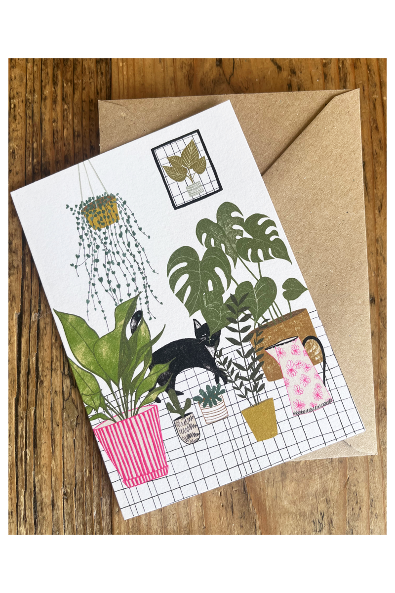Houseplants