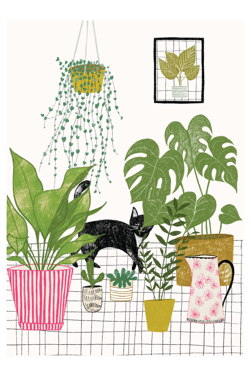 Houseplants