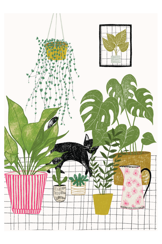 Houseplants